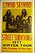 Lynyrd Skynyrd Street Survivors 1977 Winter Tour Concert Poster