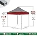 Eurmax Basic 10x10 Feet Instant Pop up Canopy with Roller Bag and Ground Mat, Kelly Green