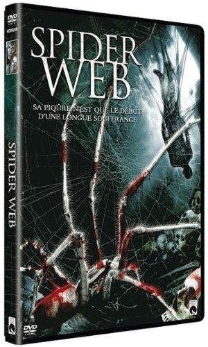Spider Web