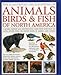 Animals, Birds & Fish of North America, the Illustrated Encyclopedia of: A Natural History and Identification Guide to the Captivating Indigenous Wildlife of the United States of America and Canada