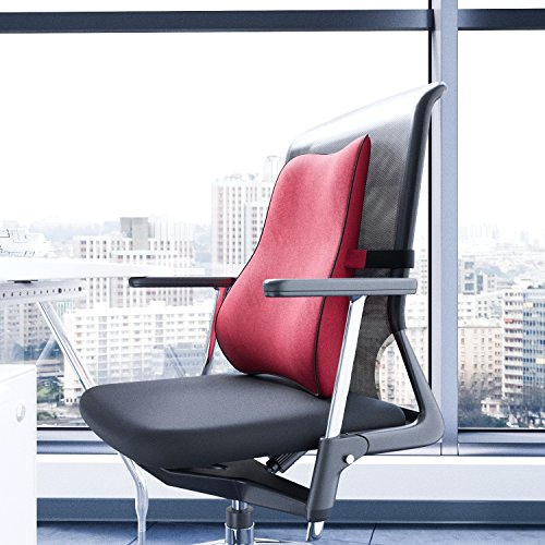 Glacial Back Support Cushion - Memory Foam Lumbar Pillow for Lower Back Pain Relief - Use on Any Chair in The Office, Home, Car - Ergonomic Design - Thumbnail 2