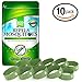 Eco Defense Mosquito Repellent Bracelet - 10 Pack - All Natural - Repel Mosquitoes & Bugs Guaranteed - Great for Kids & Adults - Natural Oils Work Fast Without Spray & DEET-FREE - Keep Mosquitoes Off