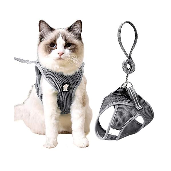 tsa cat harness