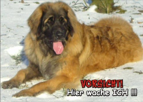 INDIGOS UG Türschild FunSchild SE589 DIN A5 ACHTUNG