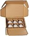 Amazon Basics 100 Watt Equivalent, Daylight, Non-Dimmable, 15,000 Hour Lifetime, A21 LED Light Bulb | 6-Pack