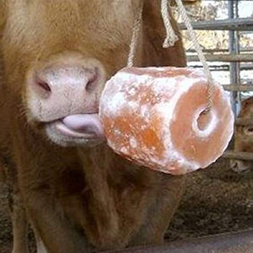 IndusClassic Himalayan Animal Licking Pink Salt Lick Horse Cattles Pure