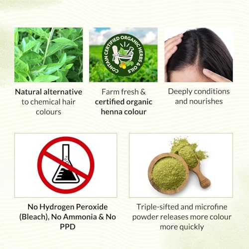 INDUS VALLEY Bio Organic Natural Henna Hair Color Medium Brown 100gm| 100% Gray Hair Coverage And Long Lasting Hair Dye | Vegan and Cruelty-Free
