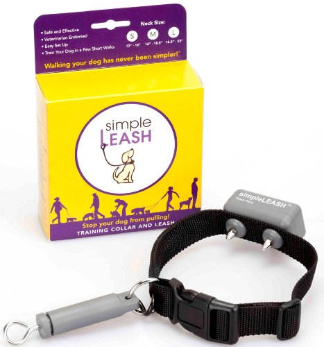 shock collar leash