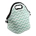 APAO Waterproof Outdoor Travel Picnic Lunch Box Bag Tote with Water Bottle Tote for Men Women Students Kids