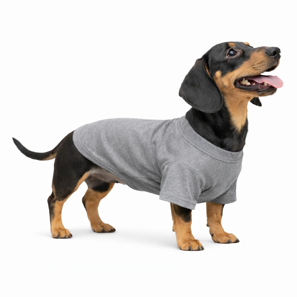 Lovelonglong Pet Clothing Dog Costumes Dachshund Clothes Blank T-Shirt Tee Shirts for Dachshund Dogs,Corgi 100% Cotton Gray D-XL