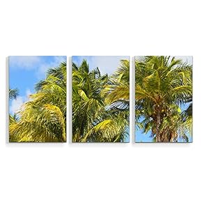 3 Piece Canvas Wall Art Beach Palm...