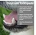 Vet Worthy Peanut Butter Enzymatic Toothpaste for Dogs - For Clean, Healthy Teeth and Gums - Freshen Dogs Breath - Peanut Butter Flavor - Made in the USA - Start Your Dog’s Dental Routine Today - 3oz