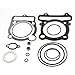 Wingsmoto Top End Gasket Kit for YAMAHA Warrior 350 Raptor Big Bear Wolverine KODIAK 400 BRUIN 350