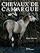 Chevaux de Camargue by