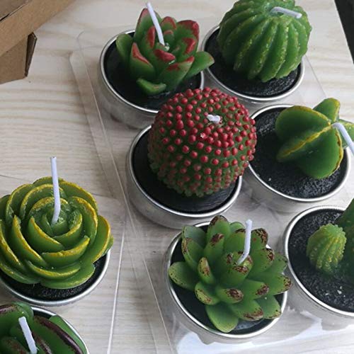 WWWL Creatieve kaars 12 Stks 3D Cactus Kaars Gesimuleerde Plant Set Woondecoratie Valentijnsdag Rose Bloem Theelicht… - Image 3