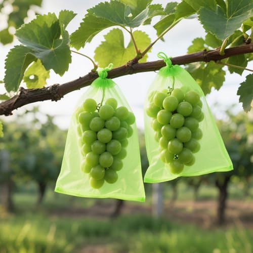 Pack of 100 Protective Bags for Grapes, 20 x 30 cm Drawstring Bag to Protect Fruit, Green Fruit, Protects Against Wasps, Fruit Flies, Birds and Other Insects