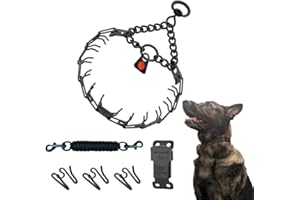 Herm Sprenger Black Stainless Steel Dog Training Collar Bundle: Includes Quick-Release Cliclock, 3 Extra Links, and Safety Cl