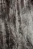 CowboyStudio Photo Studio Sheer Gray Marbled Gossamer Cloth C005, 10 x 20 ft