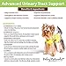 Deley Naturals Dog UTI Chews - Vet-Grade Cranberry Supplement for Dogs with D-Mannose & Echinacea for Bladder & Urinary Tract Health - Urinary Tract Supplements for Small to Large Breeds - 120 Chews