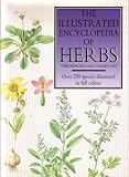 Image de The Illustrated Encyclopedia of Herbs: Their Medicinal and Culinary Uses