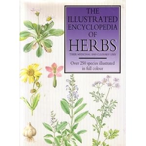 The Illustrated Encyclopedia of Herbs: Their Medicinal and Culinary Uses