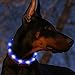 BSEEN Light Up Dog Collars - Reflective LED Dog Collar, Adjustable Puppy Collar, Rechargeable Dog Camping Gear Dog Collar Light for Small Medium Large Dogs (Medium, Blue3)