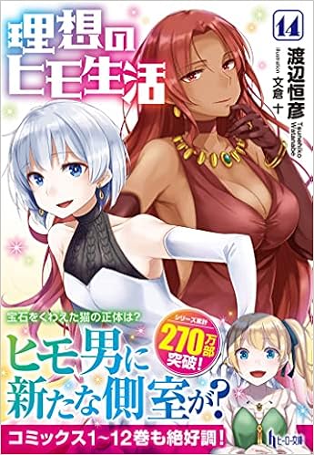 理想のヒモ生活 14 ヒーロー文庫 渡辺 恒彦 文倉 十 本 通販 Amazon