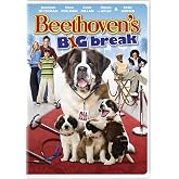 Beethoven's Big Break