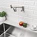 Pot Filler Kitchen Sink faucets Chrome