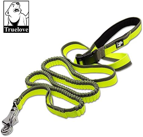 Truelove PET RANGER Bungee Dog Leash Hand-held, Waistworn, Extending, Adjustable (L, Lime Green)