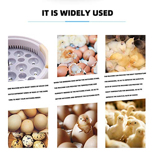 Vollautomatische Inkubator, Brutmaschine, Hühner Motorbrüter mit digitaler Präzieser Temperatur- und… – Bild 4