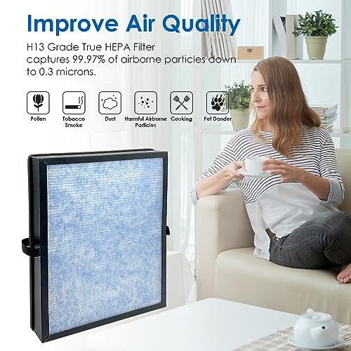 Flintar MK04 True HEPA Replacement Filter, Compatible With AROEVE Air Purifier MK04, MG04JH And