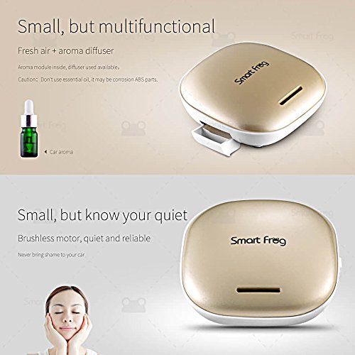 Smart Frog Car Air Purifier & Freshener Ionizer and HEPA Filter Car Diffusers Portable Mini Travel USB Air Cleaner Freshener /Remove Cigarette Smoke, Odor Smell, Bacteria