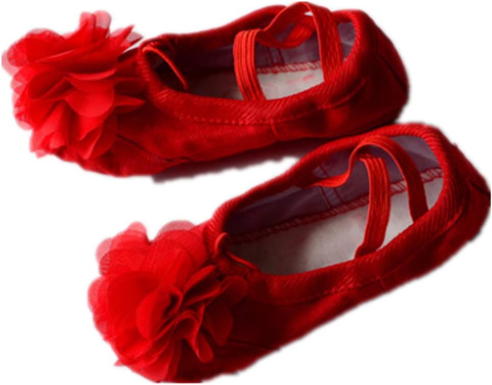 satisfied Leather Ballet Slipper/Ballet Shoes Girls Flower Ballet Practice Shoes/Yoga Shoes for Dancing