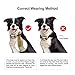 Bark Collar Rechargeable Smart Induction Anti Incorrect Triggering [2017 NEW] 7 Sensitivity Levels No Bark Training Collar Beep/Vibration/Safe Shock for Small Medium Large Dogs By Kungber
