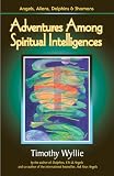 Adventures Among Spiritual Intelligences: Angels, Aliens, Dolphins & Shamans by Timothy Wyllie