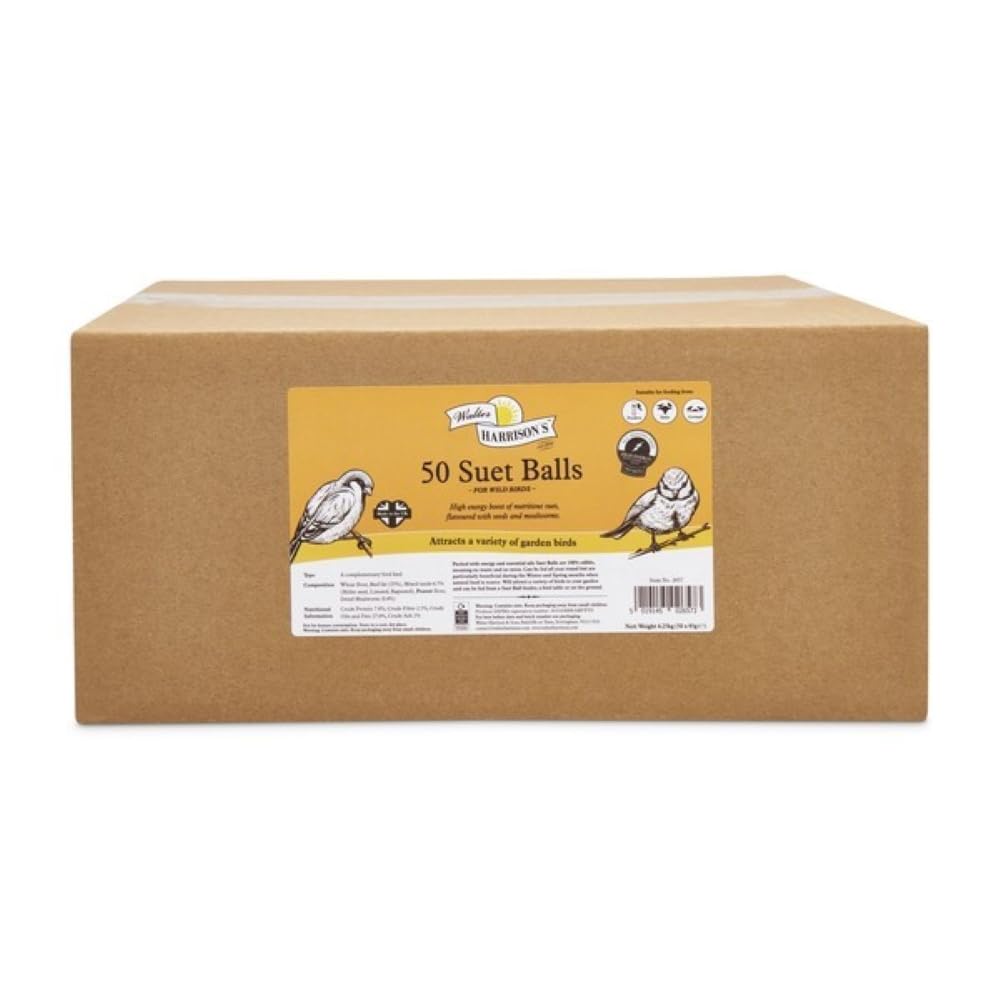 Walter Harrison's Harrisons Energy Boost Suet Balls 50x85g No Nets - Insect