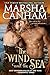The Wind and the Sea
