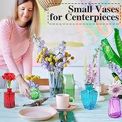 20pcs Glass Bud Vases Set,Colored Flower Vases in