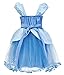Princess Cinderella Rapunzel Little Mermaid Dress Costume for Baby Toddler Girl (4T, Cinderella)