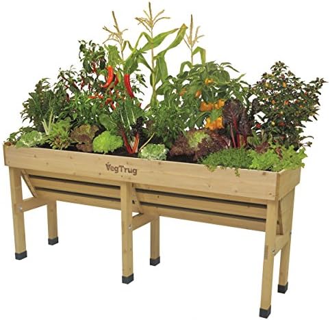 VEGTRUG WALLHUGGERS - MEDIUM