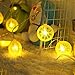 Novelty Lemon Decor Fairy String Lights with 20 LED, Battery Operated Warm Twinkle Christmas String Lights for Kitchen,Party,Wedding,Festival,Home Decorations,13ft/4m (Provide Two Extra Lemon Slices)