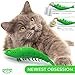 Ronton Cat Toothbrush - Durable Hard Rubber Cat Dental Care, Interactive Toothbrush Chew Toy (1 Pack Green (Shrimp))