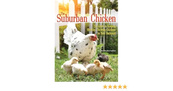 The Suburban Chicken The Guide To Keeping Healthy Thriving