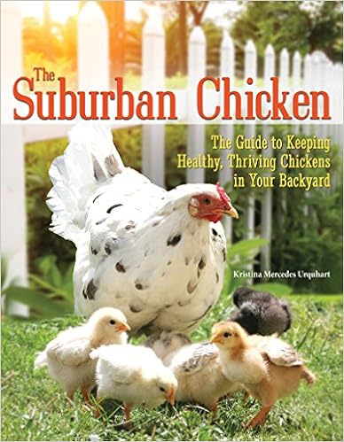 The Suburban Chicken The Guide To Keeping Healthy Thriving
