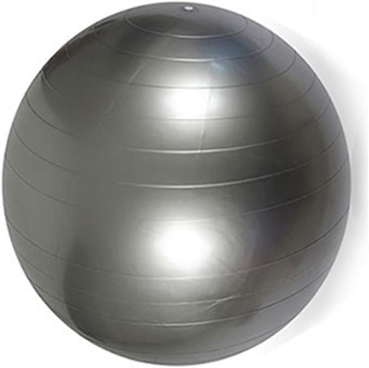 Gokiu Gym Ball Supports 2200lbs with Hand Pump Heavy PVC Yoga Ball 65cm Anti Burst for Yoga Body Stretching Pilates Hip Workout Bands