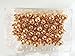 100 PCS Round Head Push Pins,Gold Bulletin Board Borders Thumb Tacks Decorative Pushpins/Drawing Pins Used on Bulletin Boards or Cork Boards in Office,Schools,Home (Rose Gold)