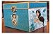 Disney Parks Beautiful Jasmine Musical Jewelry Box Music A Whole New World