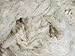 Organic Raw Cotton Fiber - Natural Color - 10 Pounds