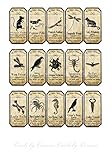 Halloween 15 animal apothecary bottle labels stickers laminated ready to use. Party decoration